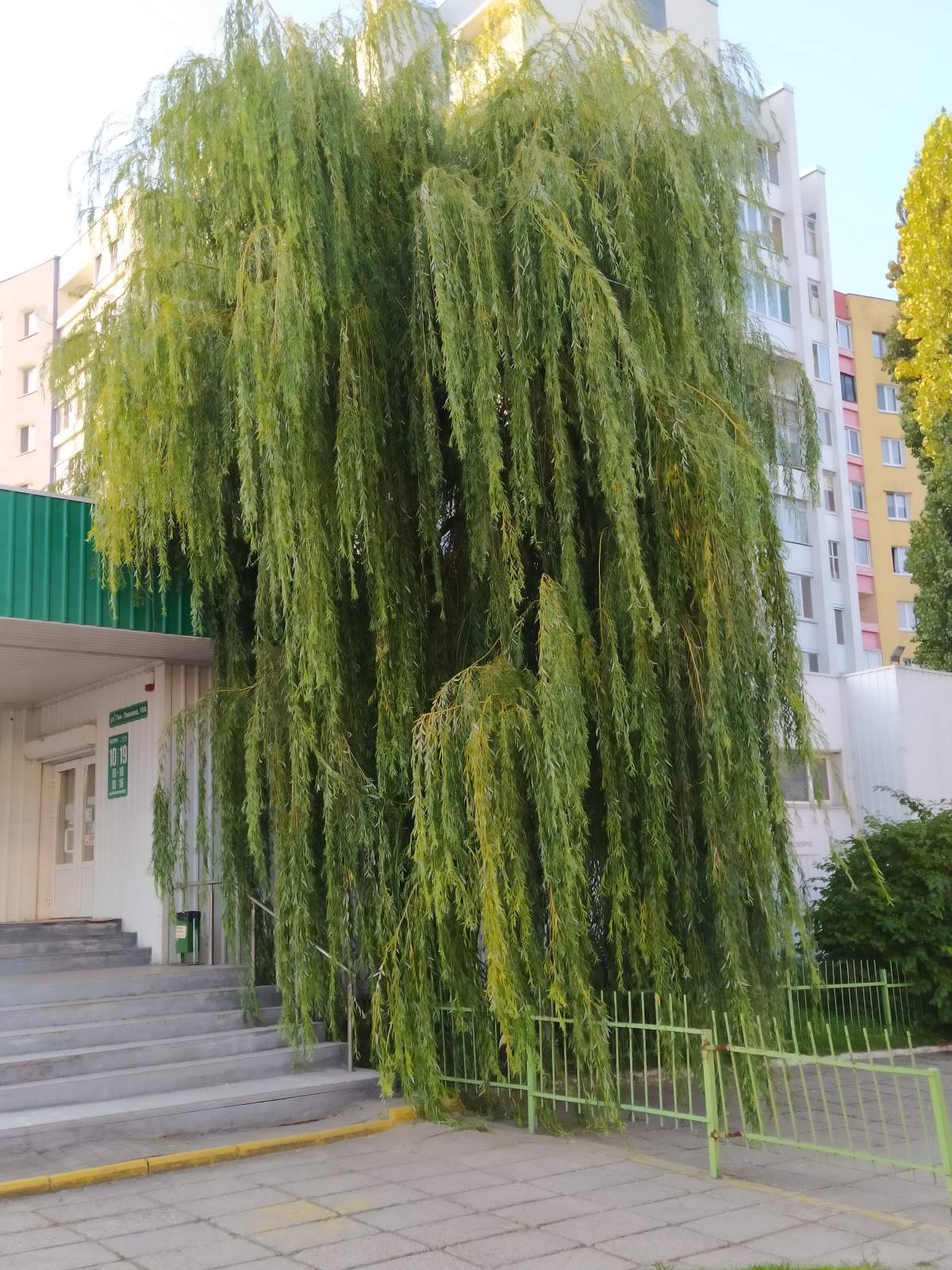 Следующая Click