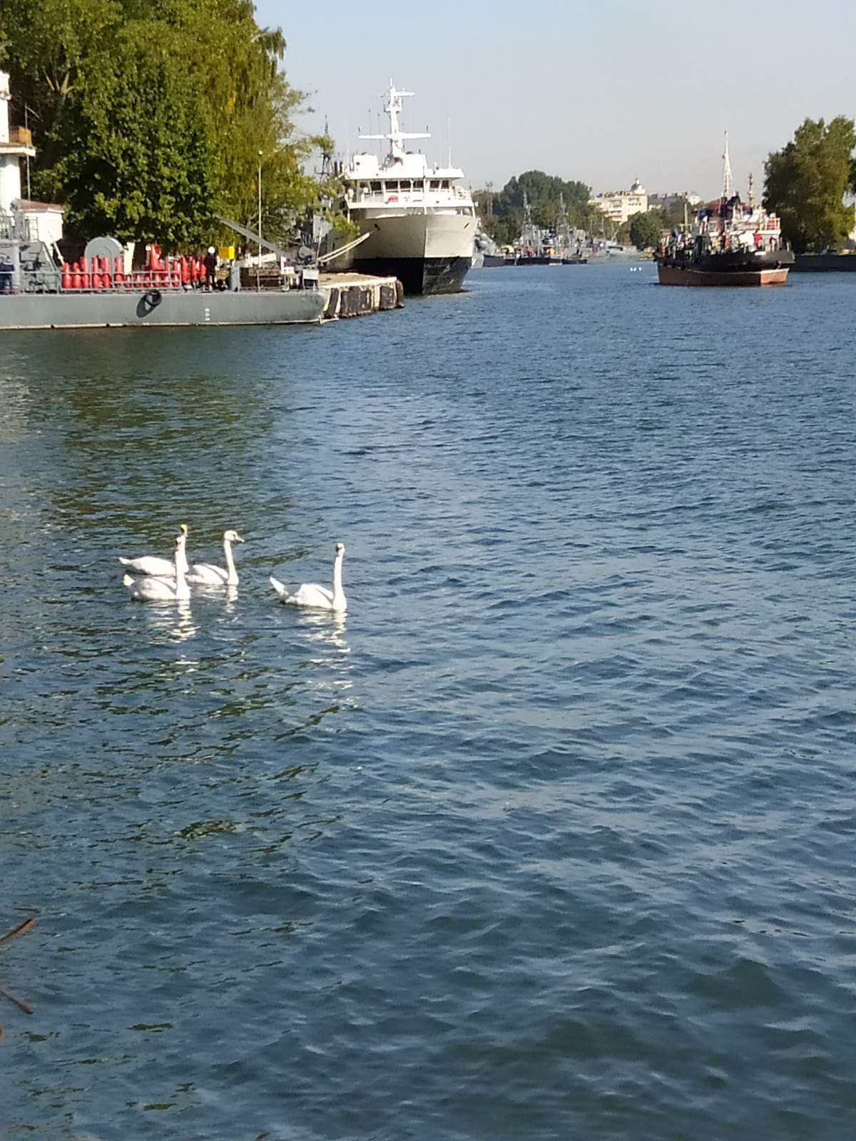 Следующая Click