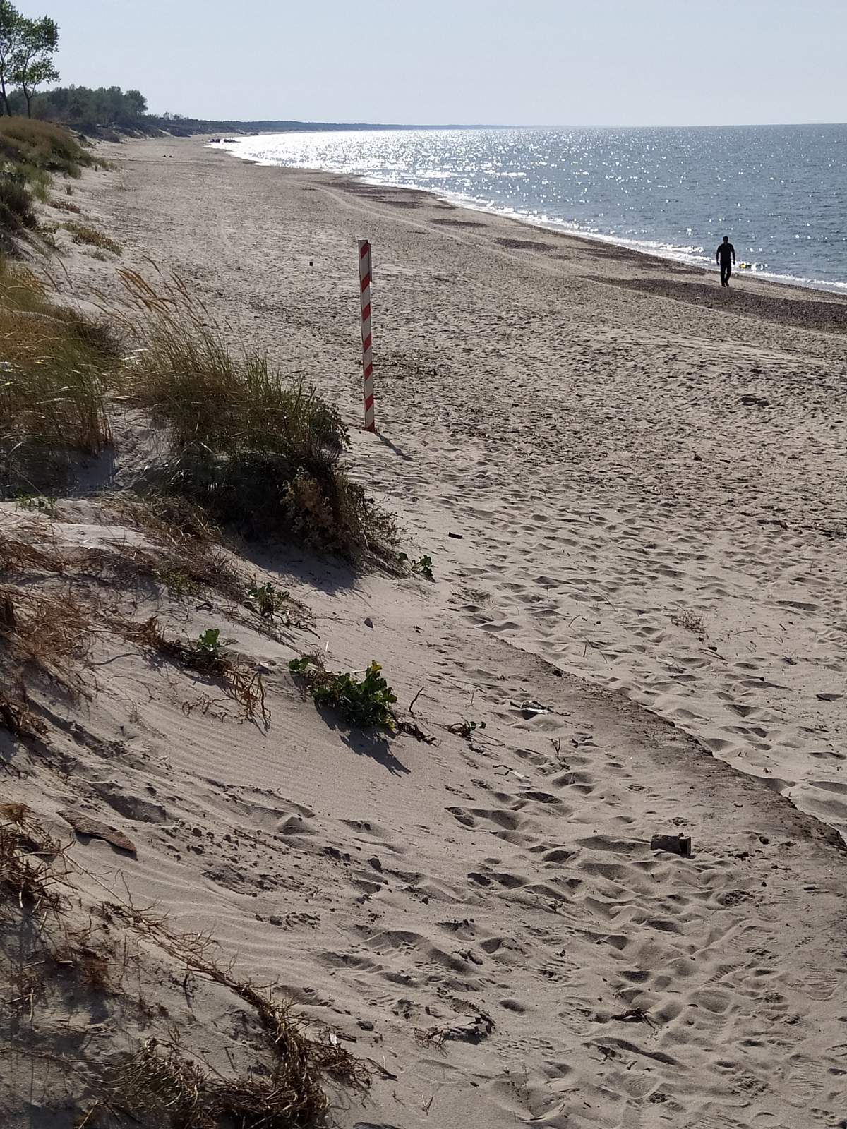 Следующая Click