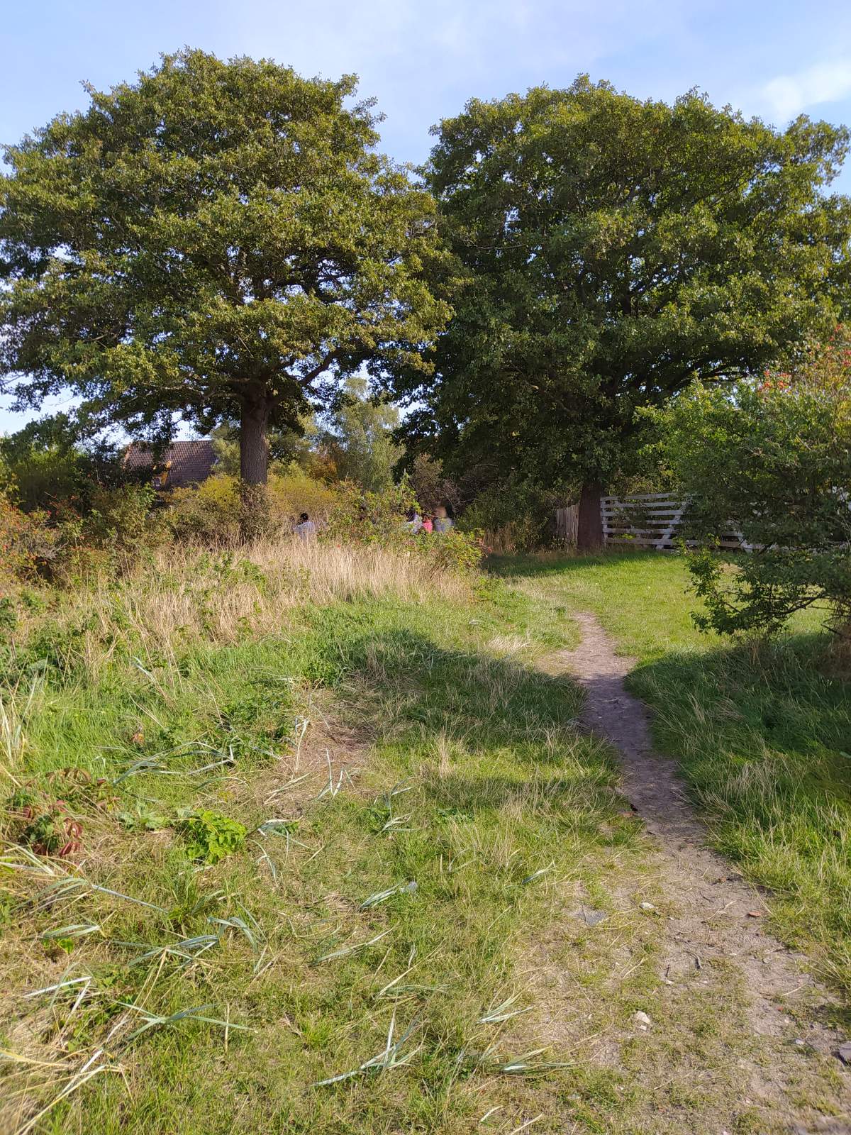 Следующая Click