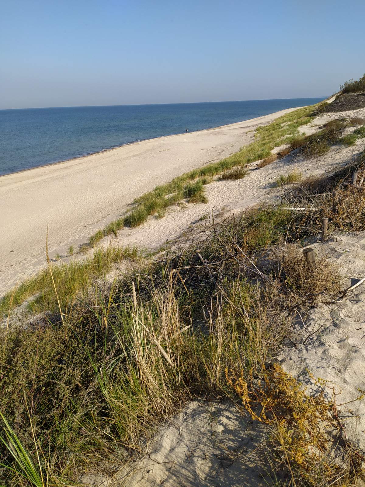 Следующая Click