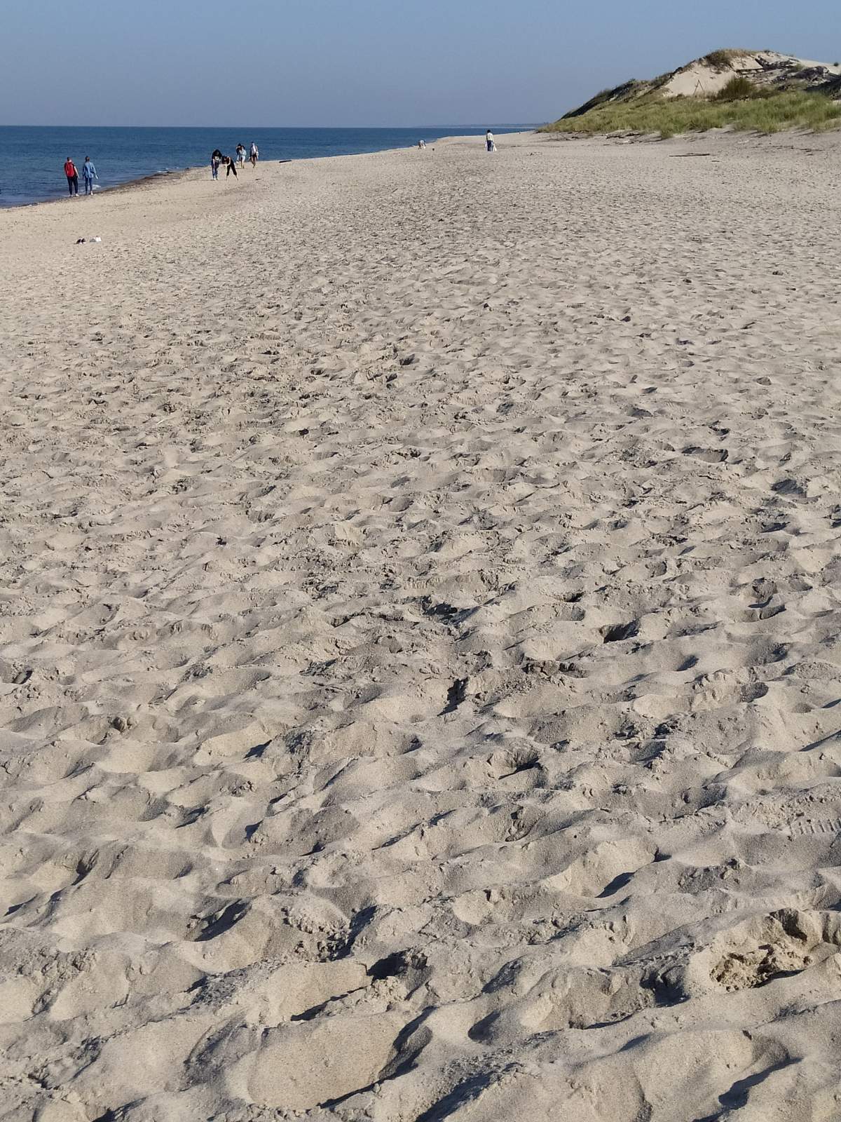 Следующая Click