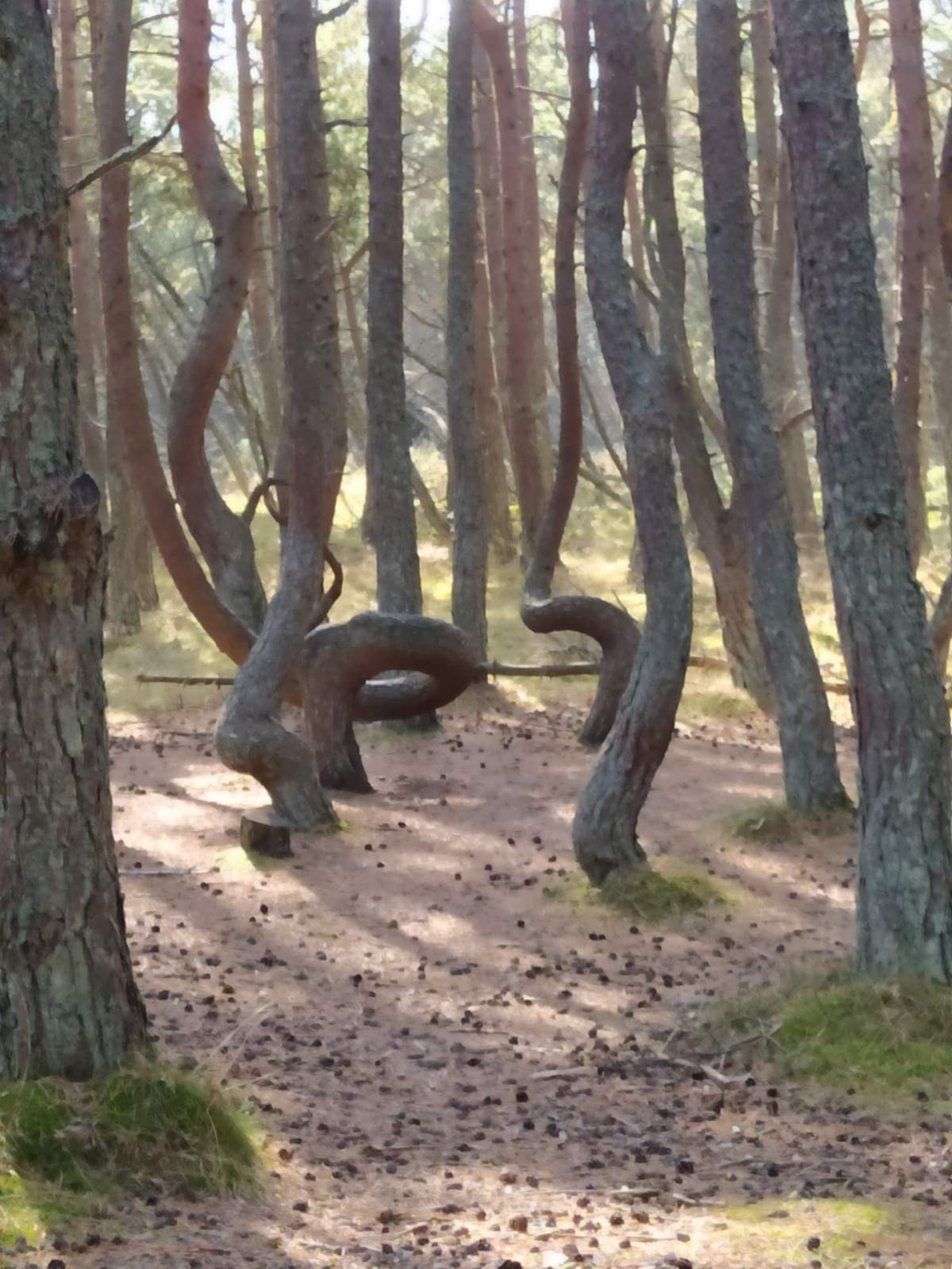 Следующая Click