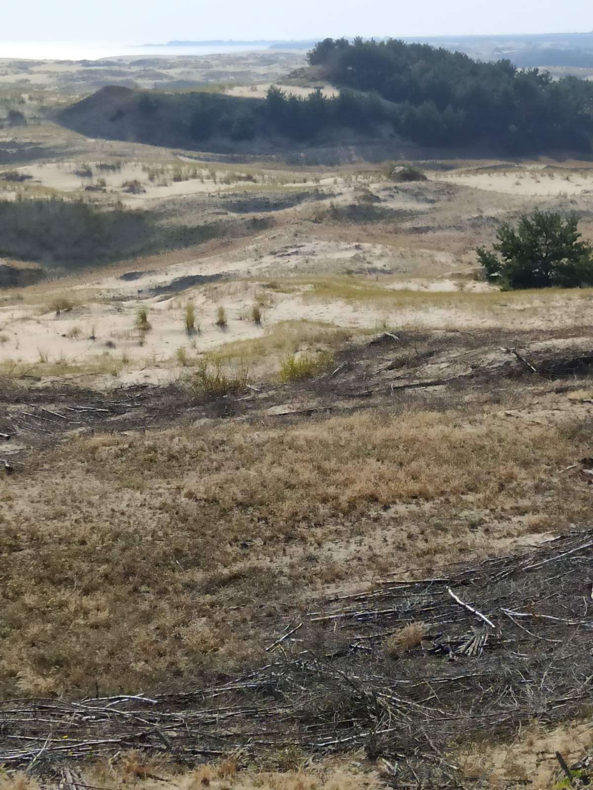 Следующая Click