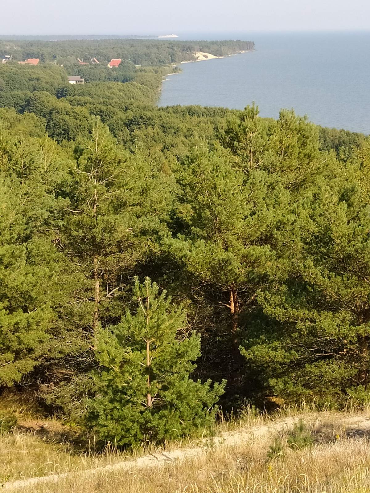 Следующая Click