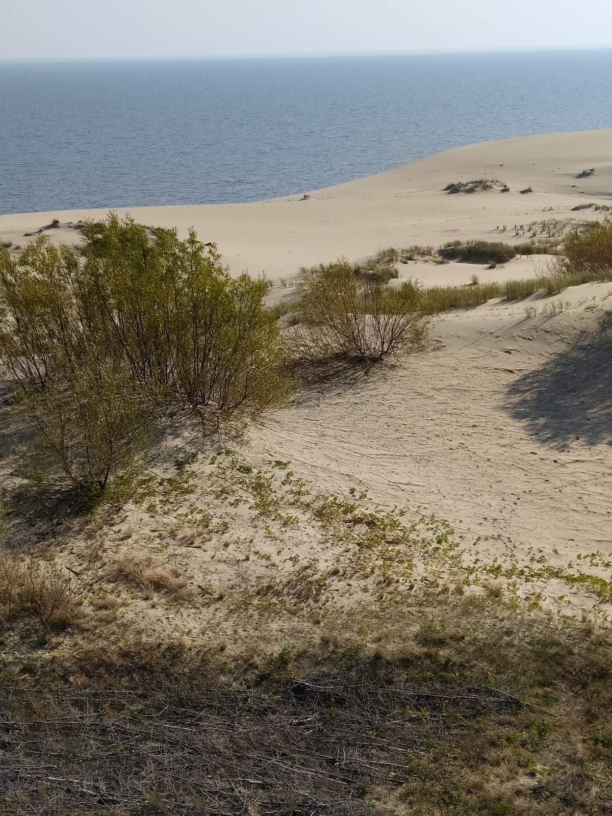 Следующая Click